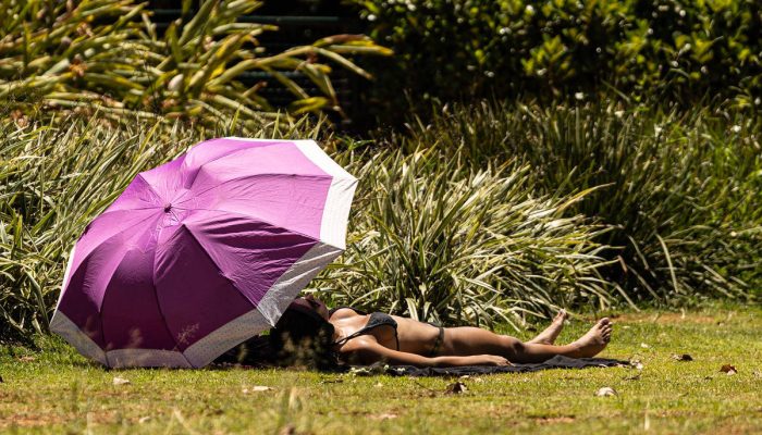 São Paulo pode ter calor de até 36°C neste domingo (11) - 11/01/2026 - Cotidiano