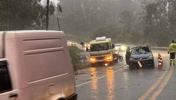 Veículo foi atingido por árvore na rodovia Oswaldo Cruz, em Taubaté
             -       
        Divulgação/Defesa Civil
