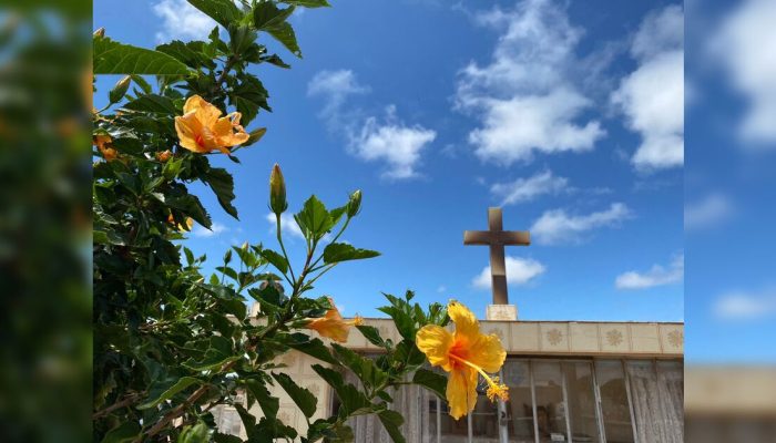 Confira os falecimentos deste sábado (17) em Apucarana e região