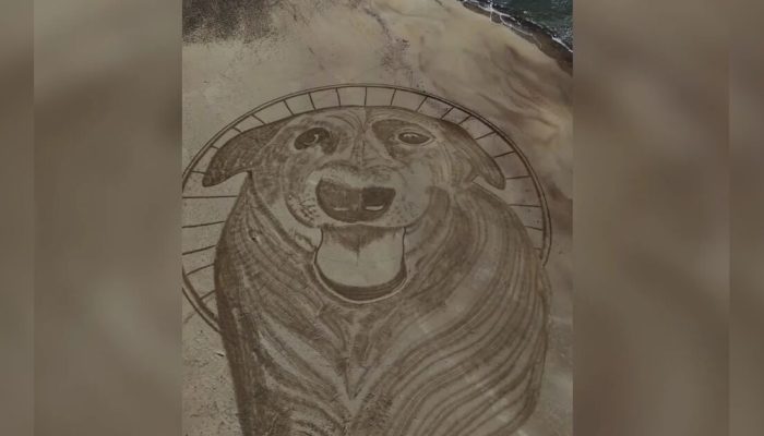 Artista faz desenho na areia em homenagem ao cachorro Orelha em praia de SC