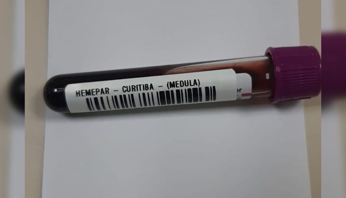 Fevereiro Laranja reforça alerta para diagnóstico da leucemia