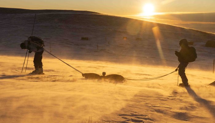 Satélite mede água acumulada na neve em montanha nos EUA - 08/04/2026 - Ambiente