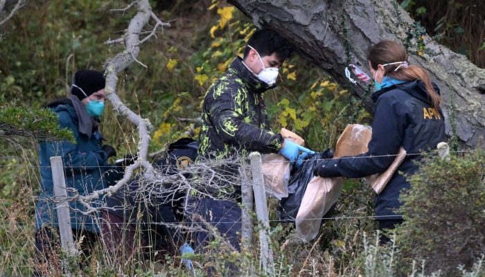 Cientistas do Instituto Malbrán, integrantes do Ministério da Saúde da província argentina da Terra do Fogo e membros da Administração de Parques Nacionais coletam camundongos de armadilhas nas proximidades de Ushuaia, na Argentina
             -       
        Juan Mabromata /AFP