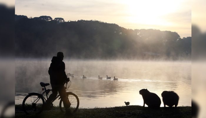 PR terá geadas e grande variação de temperatura até domingo