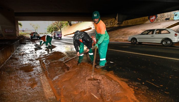 Chuva em Campinas derruba 50 árvores e prejudica serviços de saúde