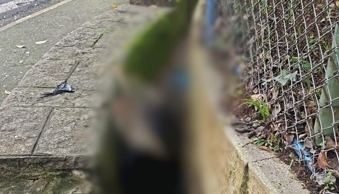 FOTO: Reprodução Diário do Grande ABC - Notícias e informações do Grande ABC: Santo André, São Bernardo, São Caetano, Diadema, Mauá, Ribeirão Pires e Rio Grande da Serra