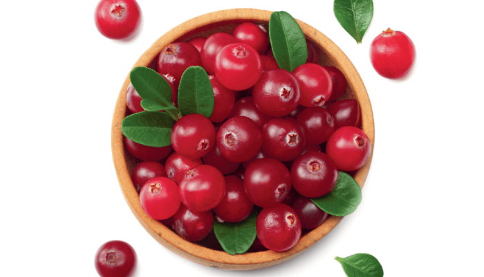 Cranberry: veja motivos para colocar essa frutinha na rotina