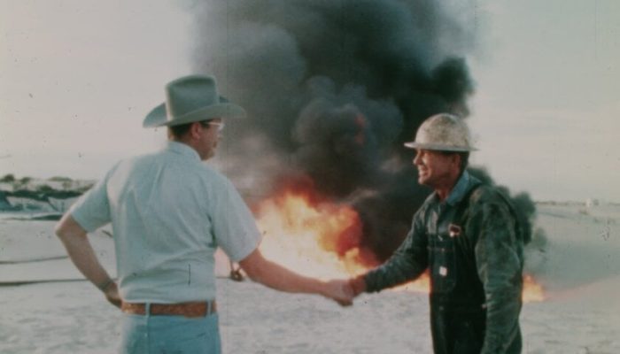 14ª Mostra Ecofalante de Cinema