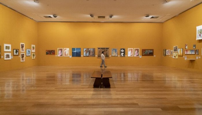 Flávio Império na Pinacoteca de São Paulo