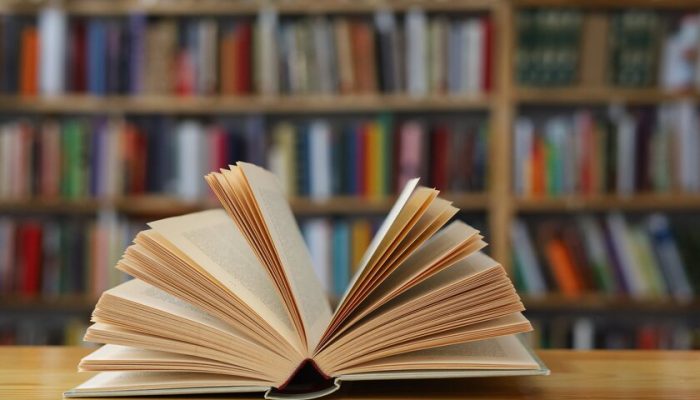 20 livros brasileiros incríveis para ler ainda este ano