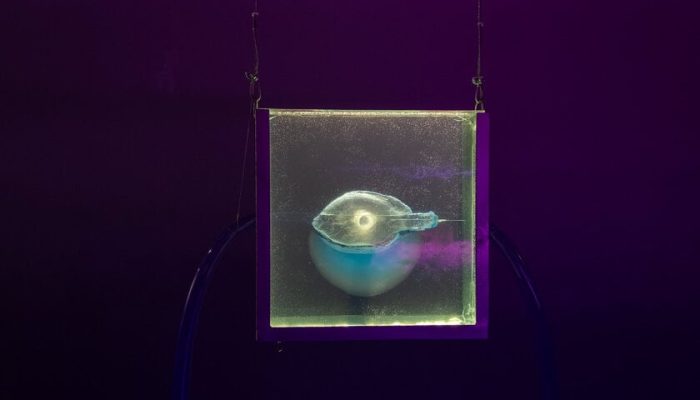 10 exposições imperdíveis em São Paulo para visitar em novembro de 2025