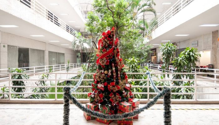 Galeria Metrópole promove feira inédita com design autoral, arte e gastronomia