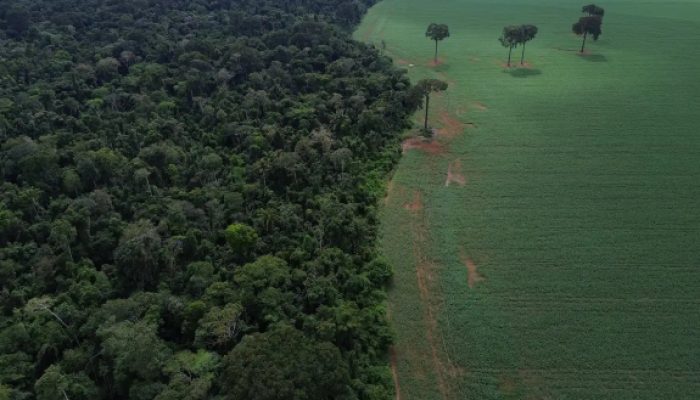 Brics: financiamento climático é responsabilidade de países ricos