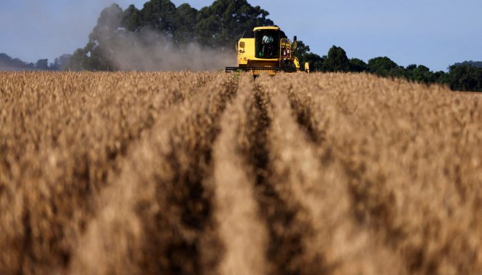 Agro atinge recorde de 1.990 pedidos de recuperação judicial em 2025, diz Serasa