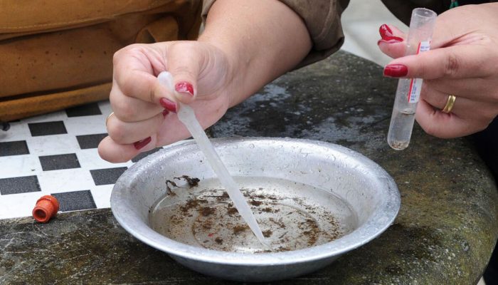 Arapongas tem 1.314 casos confirmados de dengue e um de Chikungunya