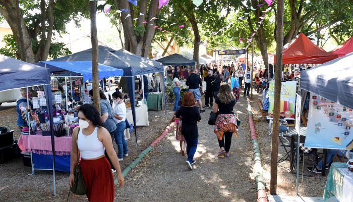 Feira de Barão terá Oficina de Poções Mágicas e Desfile Encantado de Halloween
