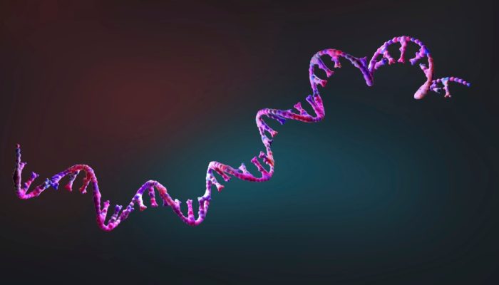 Nova vacina “universal” contra câncer feita com RNA avança em estudos