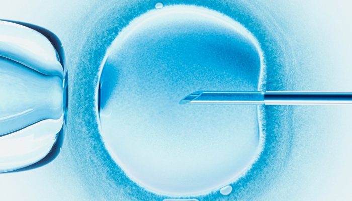 Fertilização in vitro: Nasce bebê de embrião congelado há mais de 30 anos: há riscos?