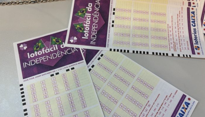 confira as 15 dezenas sorteadas do concurso 3436 deste segunda (7)