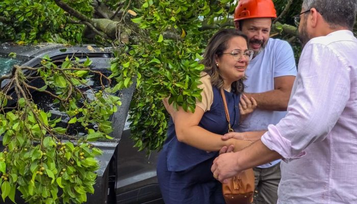 Ação rápida e integrada da GCM e Defesa Civil salva motorista após queda de árvore em São Caetano