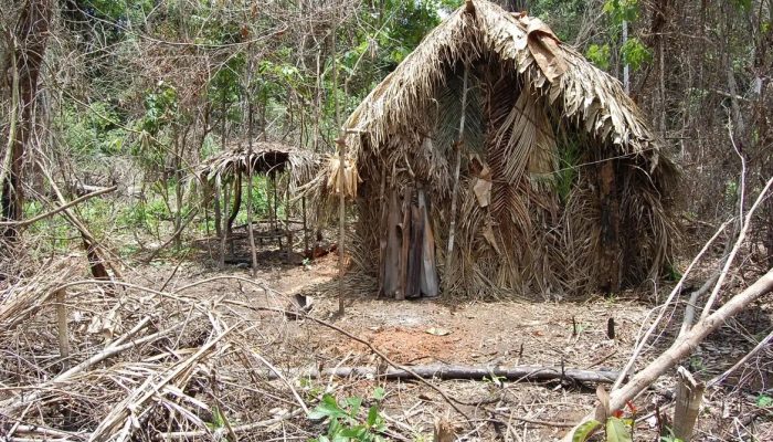 Supremo homologa plano de criação do Parque Nacional Tanaru