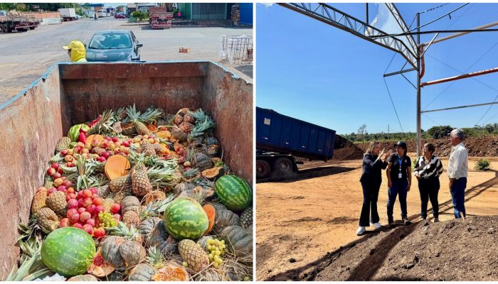 Ceasa Campinas amplia em 45% a destinação de resíduos orgânicos para compostagem