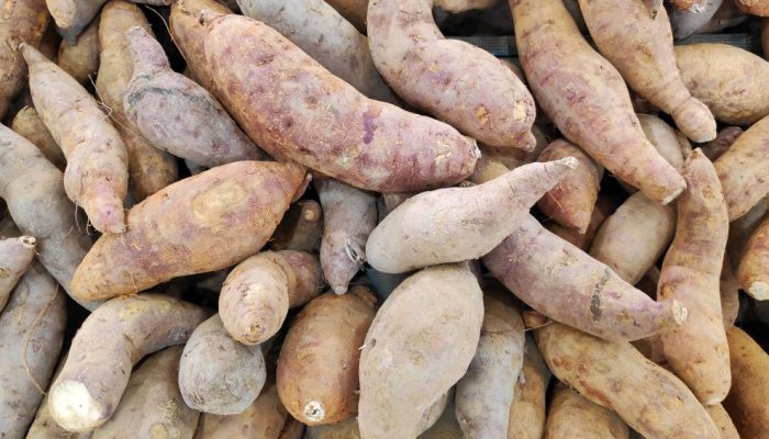 Chá da casca de batata-doce: descubra se tem benefícios