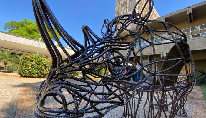 De Dalí a Caçador: os rinocerontes que marcaram Campinas em 1998 e 2025