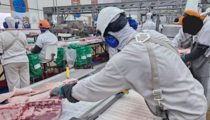 TST mantém decisão que protege gestantes de ambientes com ruído em frigorífico em Seberi
