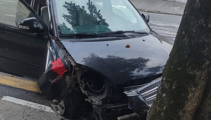 GCM de Diadema prende motorista embriagado que colidiu com árvore
