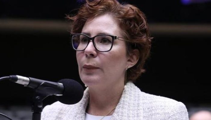 A deputada Carla Zambelli (PL-SP) durante discussão e votação de propostas no plenário da Câmara