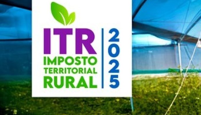 DITR 2025 começa em 11 de agosto e poderá ser feita diretamente no Portal de Serviços da RFB – Sistema FENACON