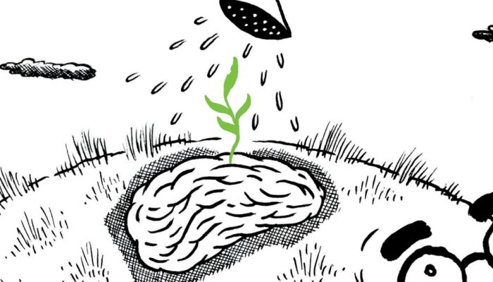 Doença de Alzheimer: aquilo que não se pode esquecer