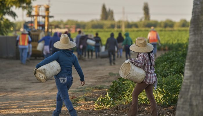 O que muda se Reino Unido e EUA atingirem a migração líquida zero? | Opinião