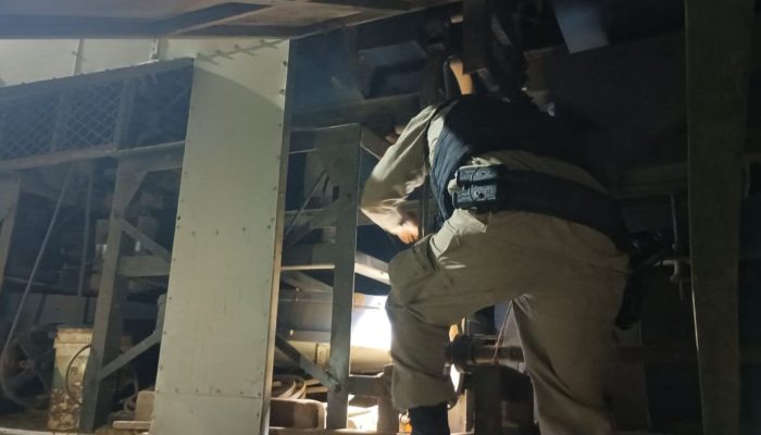 1 de 2Sacas de café estão avaliadas em cerca de 1 milhão — Foto: Polícia Civil/Divulgação