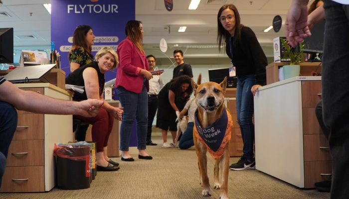 benefício pet corporativo