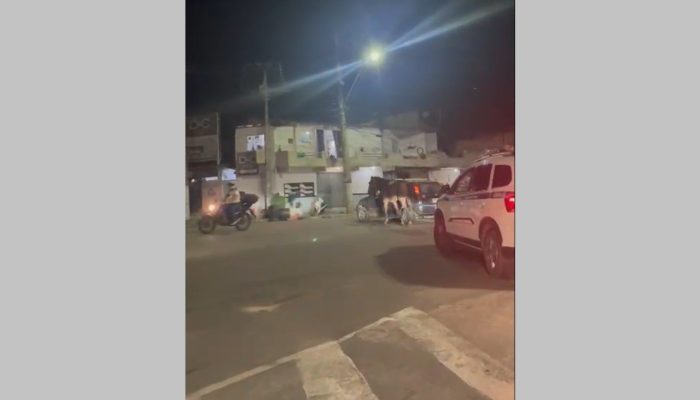 1 de 1Cavalo sendo puxado por veículo em meio de avenida movimentada em Cabo Frio — Foto: Reprodução g1