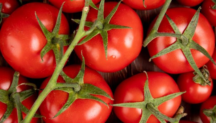 Consumo de tomate é associado a menor risco de pressão alta, sugere estudo