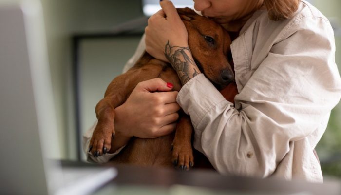 Eutanásia em animais: quando é necessária e como é feita