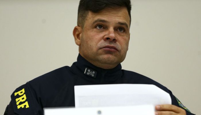 malas, cachorro e carro alugado