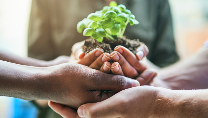 quando a economia encontra a ecologia