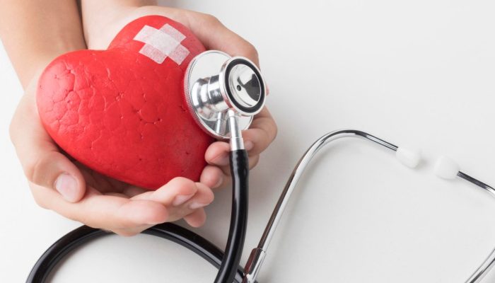 Cardiomegalia: entenda o “coração grande”, condição que pode ser fatal