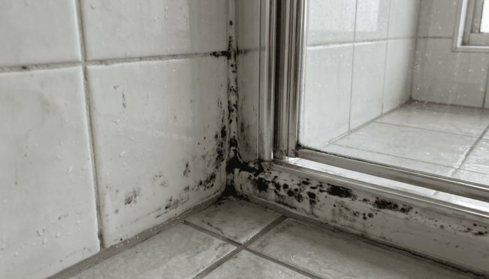 Eliminar o mofo do banheiro é um ritual anual de cinco minutos que substitui o uso de água sanitária, muitas vezes subestimada