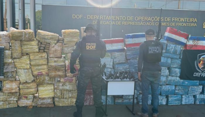 1 de 1Quatro toneladas de maconha e sete pistolas foram apreendidas pelo DOF — Foto: Polícia Civil