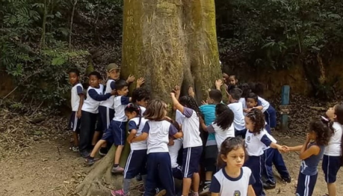 Curso pioneiro vai capacitar professor para abordar mudanças climáticas em sala de aula