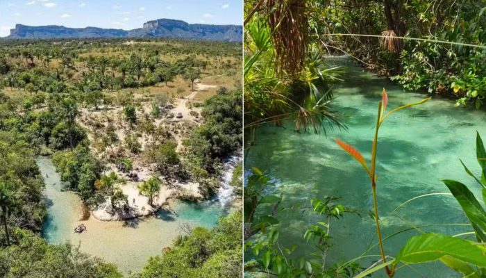 1 de 2Praia do Pequizeiro, em Lavandeira, fica na região das Serras Gerais e é conhecida pelas águas cristalinas do Rio Ribeirão da Lavandeira — Foto: Arquivo Pessoal/Walterley Moura
