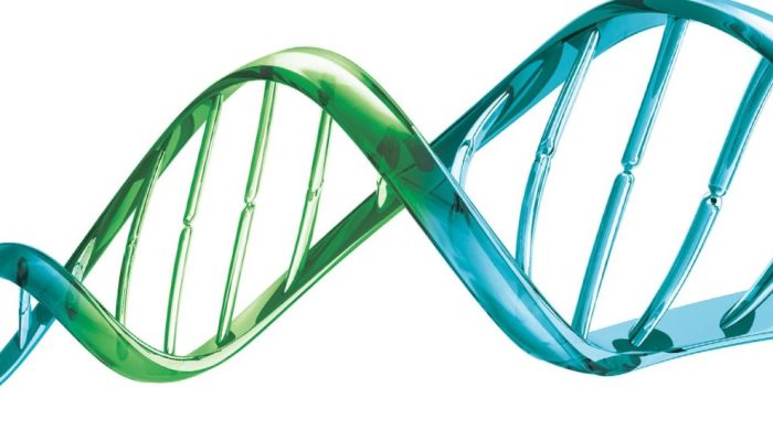 Atrofia muscular espinhal: o que é a AME e quais os sintomas e tratamentos