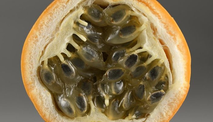 Prima do maracujá é rica em vitaminas A e C e ajuda fortalecer sistema imune