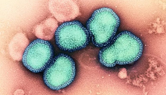 Saúde alerta para vacinação após Brasil registrar quatro casos de ‘gripe K’