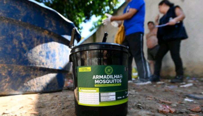Campinas usa IA para avisar moradores sobre armadilhas do Aedes aegypti